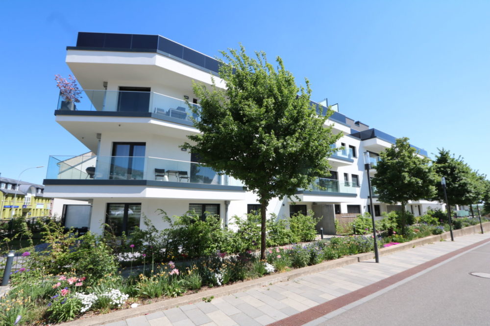 0__655c5df8947c22_17991897-1