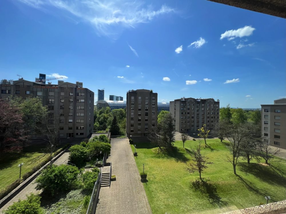 0__6565ba46b32e77_45539015-1