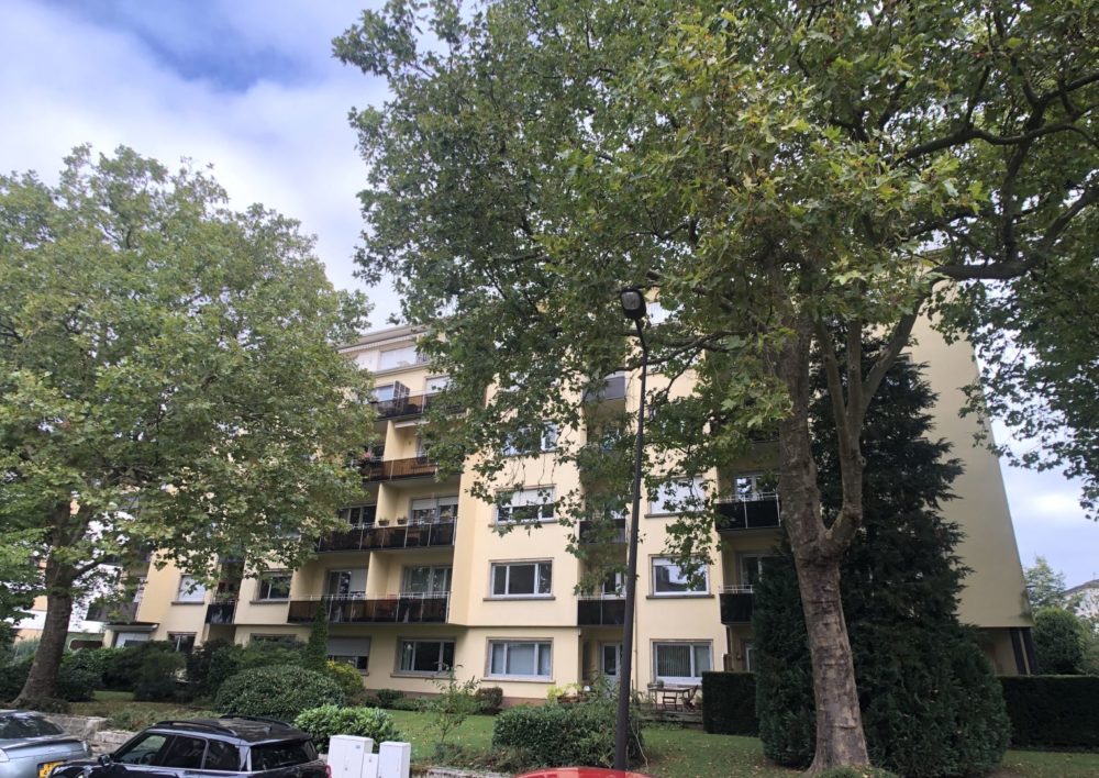 1__65800baf060cd0_08034628-1